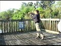 Vitality Taichi 2