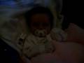 videos de lucy