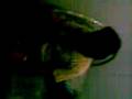 videos de banana video 3 :D