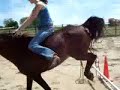 jumping bareback jumping bareback