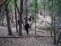 The Nam 6 Vietnam Airsoft Scenario Event!