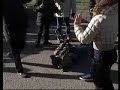 Scontri a località Pustarza - Savignano Irpino (AVELLINO)