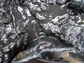 Wellies in the Mud 2