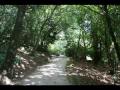 Sintra-Parque da Pena