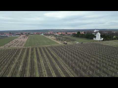 Video Prodej vinice  4 898 m2 - Moravský Žižkov