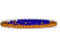 videos de 200particles-perspB