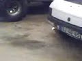 Peugeot 205 o piorio dos arcos AO CORTE Peugeot 205 o piorio dos arcos AO CORTE