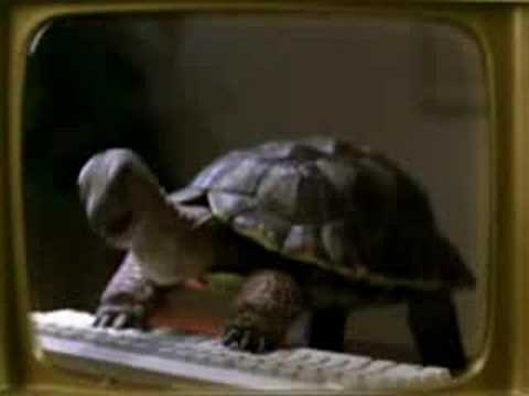 Comcast+turtles