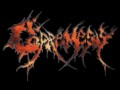 Copremesis - Muay Thai Ladyboys