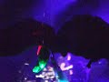 White Lies - Paul van Dyk feat. Jessica Sutta