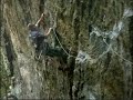 Escalada no RJ