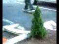 videos de Sign Polejam Lol
