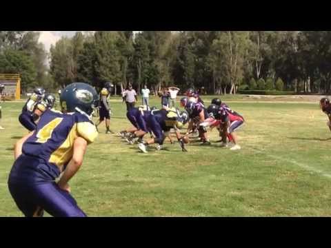TOROS CELAYA - Gracias a mi camarógrafa Cham Cham por lograr esas tomas y casi morir en el intento.