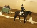 Anna-Carin & Miss Milan, Lerum