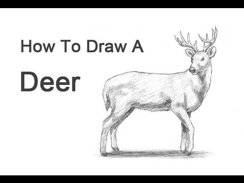 how to draw reindeer