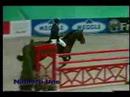 Jumping video of horses
