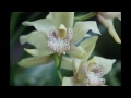 Zu Besuch im Frankfurter Palmengarten