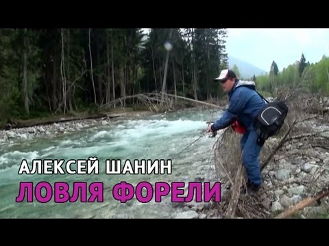 ловля ручьевой форели на кавказе календарь ловля ручьевой форели на кавказе календарь