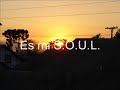 organismo soulbeat