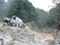 Flores en piedras bola