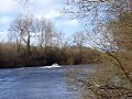 Maxum 2000 SCL on the River Bann
