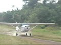 wild take off!