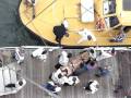 videos de MOV00849