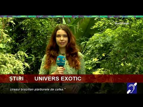 Univers exotic