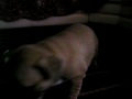Early 030509