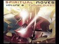 wizzy noise - pure wave

in: spiritual moves 6 by future quest