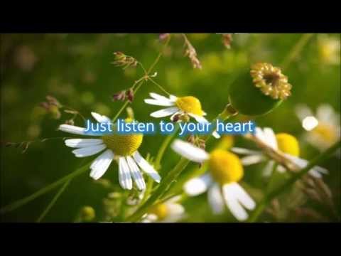 Youtube Video OgeWKEC7CdU