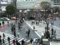 2010-05-21 | Shibuya Crossing ~> mid-afternoon view from the starbucks ... CIMG5361 ... ()