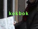 A jobless Swedish immigrant chef in Berlin
