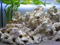 Mijn Cichliden-Malawi Aquarium
