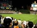 Stadium Wave at Camden Yards