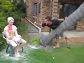 Australian egging of the buck