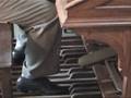 Böhm, Georg Vater unser... - Organ Cavaillé-Coll