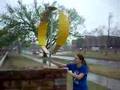 Darrius Turbine on a Rainy Day