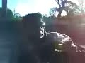 grappamiel todo el año