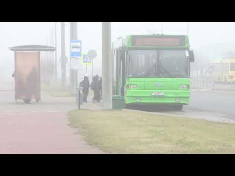 Барановичи день за днем. 30.12.25.