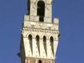 videos de siena