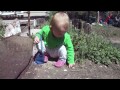 Click here to watch this video Gracies pocket purse, 2