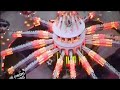 Archive - lights [Live at la foire du trône]