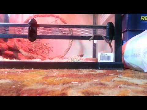 how to fill hinge holes