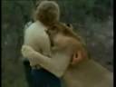 Lion embraces friends-AMAZINGLY BEAUTIFUL!!