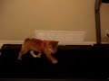 Riding Treadmill Riding Treadmill