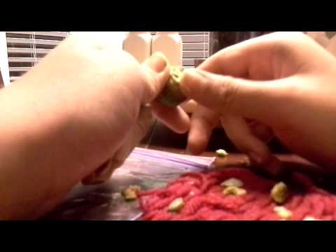 how to collect bald cypress seeds
