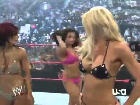 WWE divas fighting each other