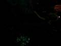 videos de Monica's Splish and Splash Bachelorette Dance