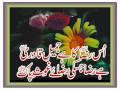 Hazrat Ghaus e Azam, Shah Abdul Qadir Jilani (RA)